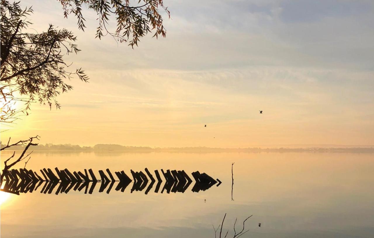 Stunning Home In Lembruch-Duemmer See With Sauna Bagian luar foto